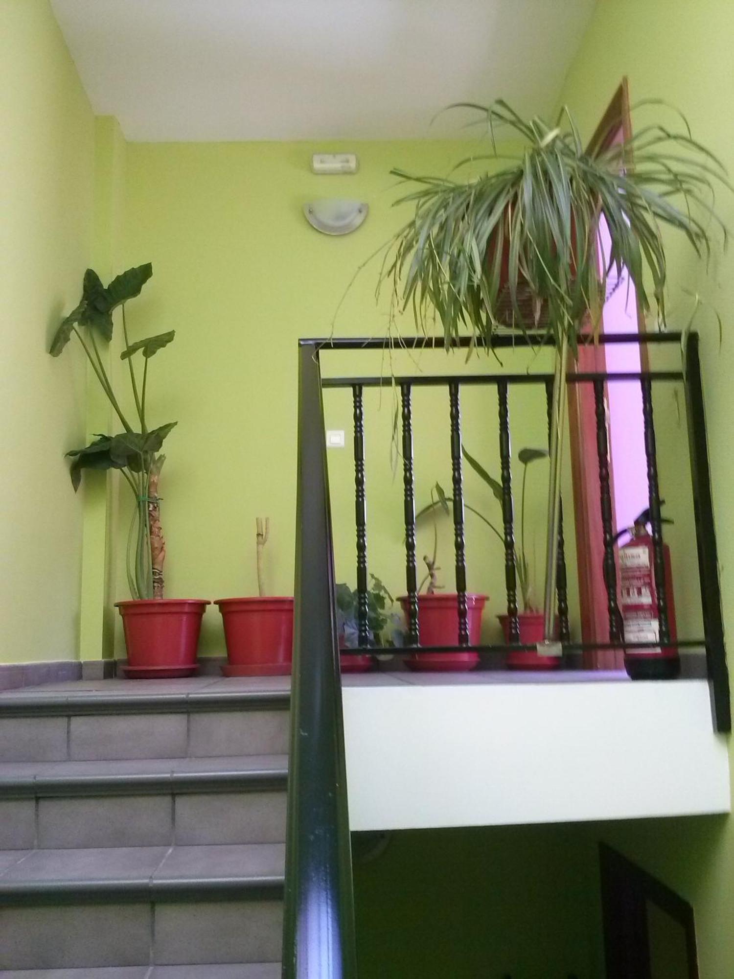 Hostal Ciudad De Nájera Zimmer foto
