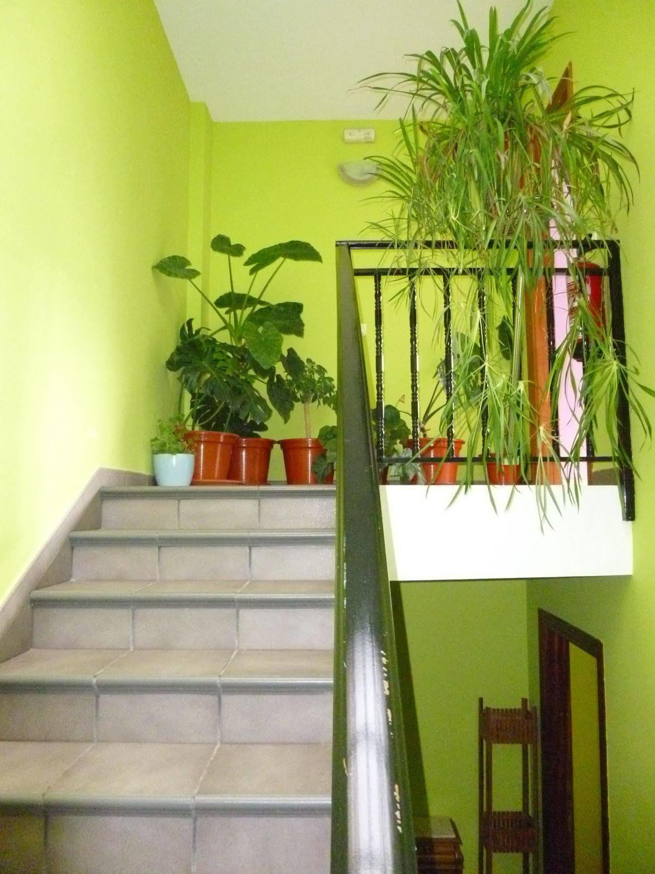 Hostal Ciudad De Nájera Exterior foto